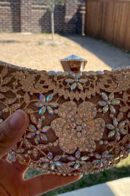 Champagne Clutch and necklace