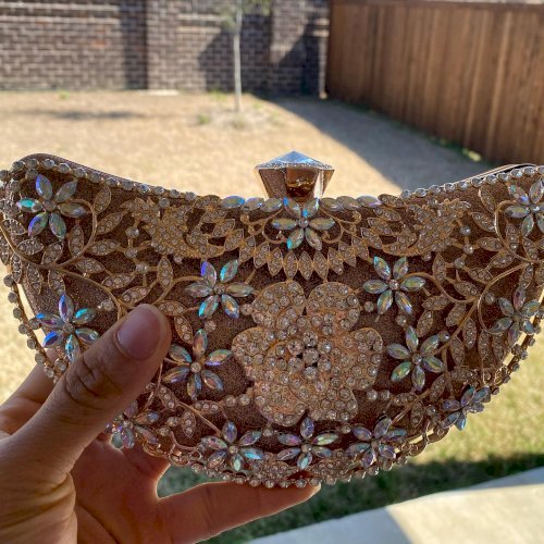 Champagne Clutch and necklace